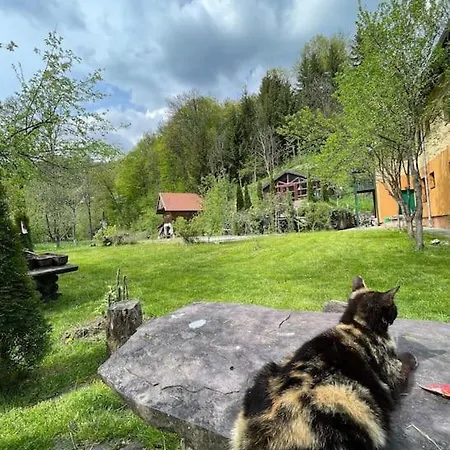Holiday With Private Pool, Land And Facilities Fojnica