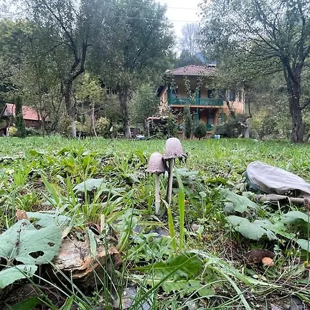 Holiday With Private Pool, Land And Facilities * Fojnica