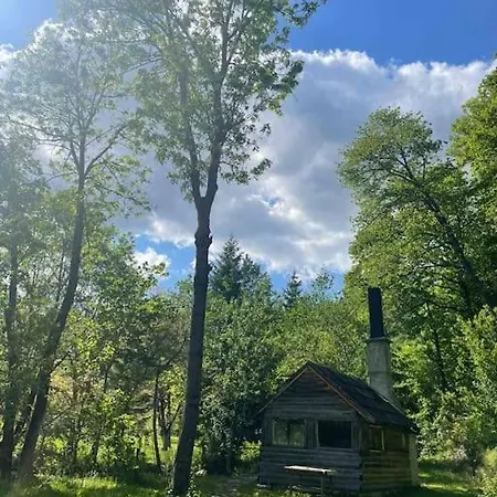 Apartamento Holiday With Private Pool, Land And Facilities Fojnica
